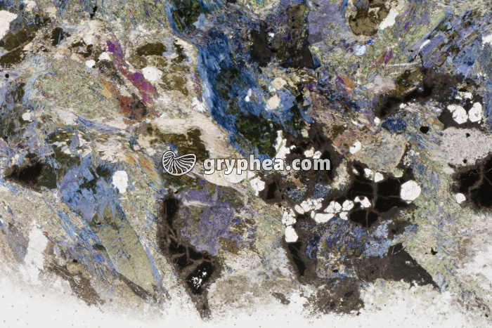 Métagabbro à Glaucophanite LPNA x3,5 - gryphea.com